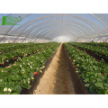 Sales! high quality uv plastic film greenhouse biodegradation